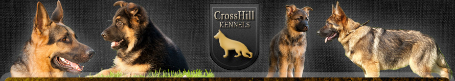 CrossHill Kennels